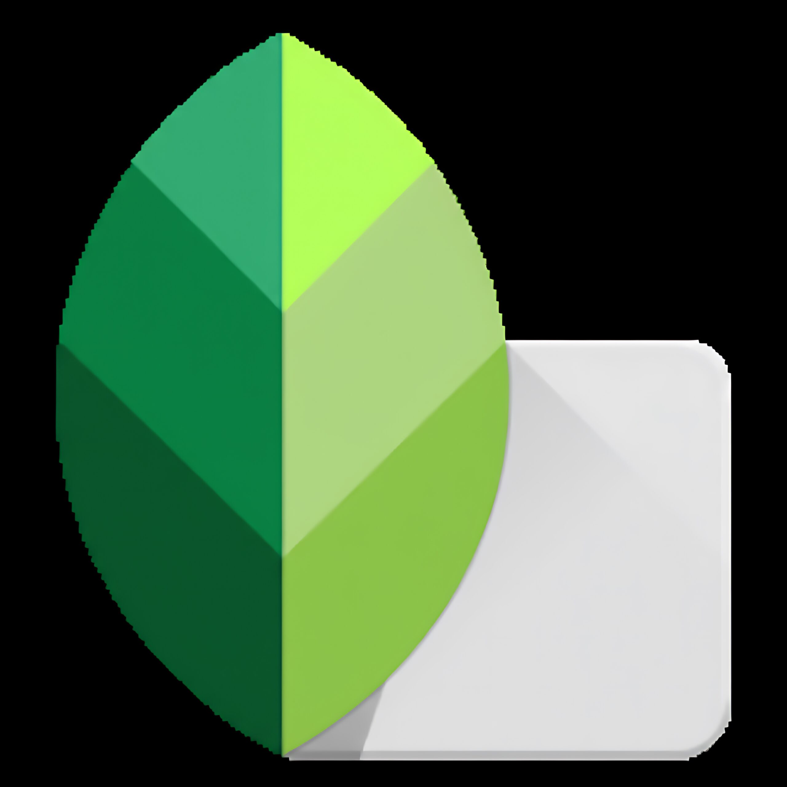 Photo Editing Apps for Smartphones: Transform Your Mobile Photography